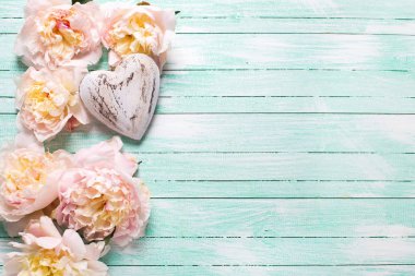 Pembe Peonies çiçekler