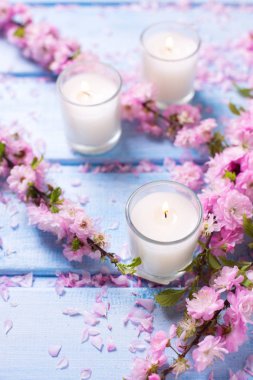 Sakura pembe çiçekler ile arka plan   