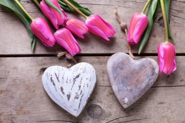 Dekoratif kalpleri ve pembe bahar laleler 