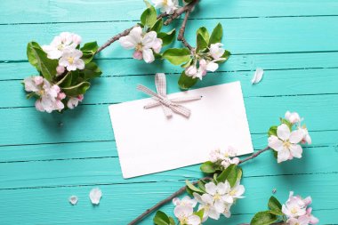 Boş etiket ve elma ağacı çiçek  