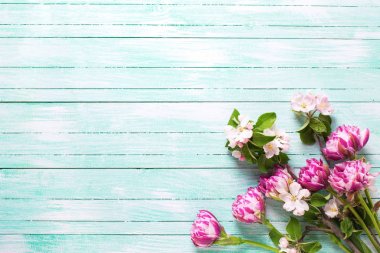 Bahar Lale çiçek ve elma ağacı çiçek