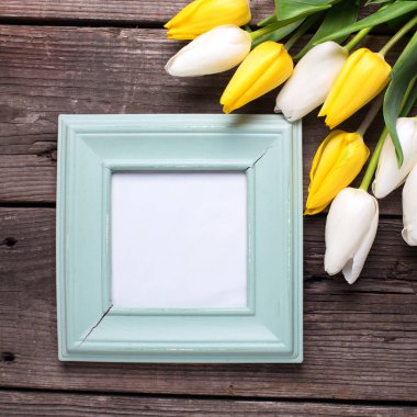 Boş mavi çerçeve ve sarı ve Beyaz Lale çiçek  