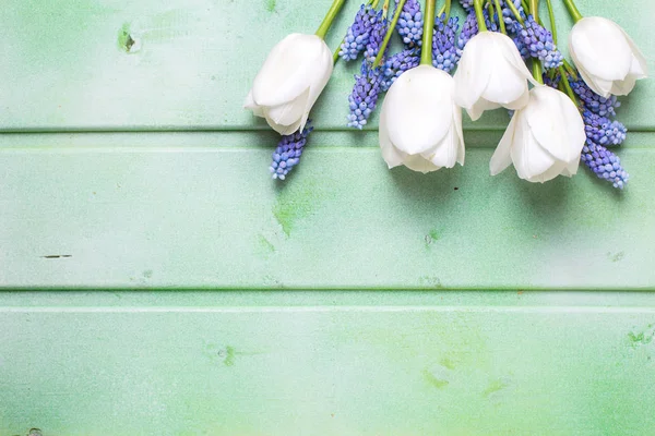 Witte tulpen en blauwe muscaries bloemen — Stockfoto