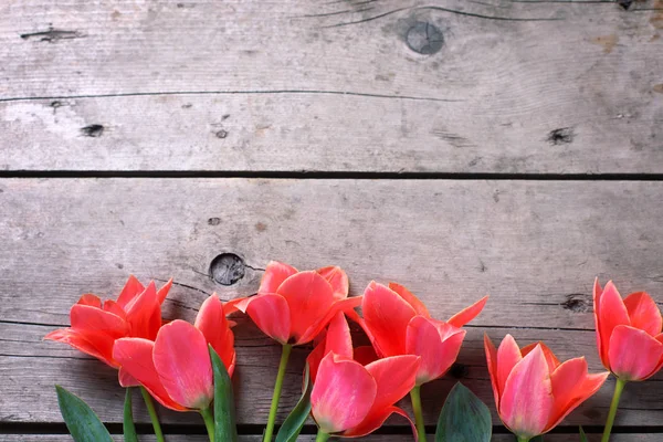 Hraničí s vintage dřevěné pozadí z tulipánů. — Stock fotografie