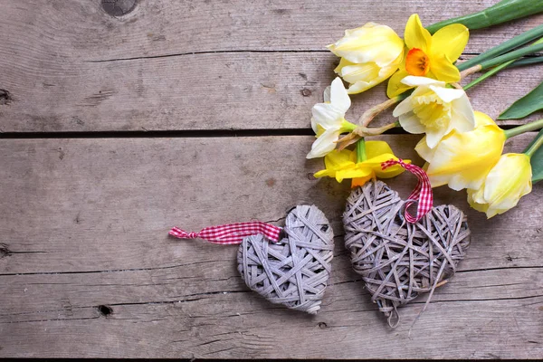 Κίτρινο τουλίπες και daffodils λουλούδια και δύο διακοσμητικές καρδιές — Φωτογραφία Αρχείου