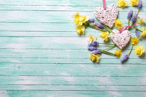 装饰的心和新鲜的黄色和蓝色春天的花朵 — 图库照片
