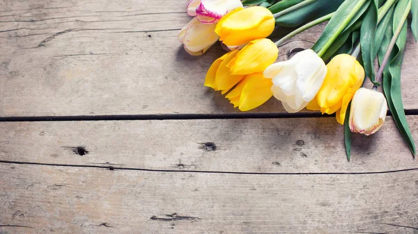 Tulipanes de primavera amarillos y blancos sobre fondo de madera . — Foto de Stock