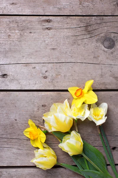 Żółte kwiaty tulipany i żonkile — Zdjęcie stockowe