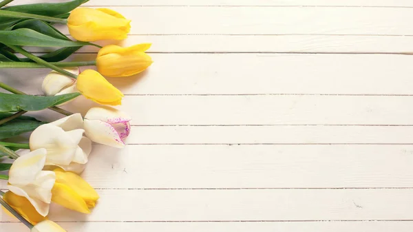 Border from yellow and white spring tulips — Stock Photo, Image