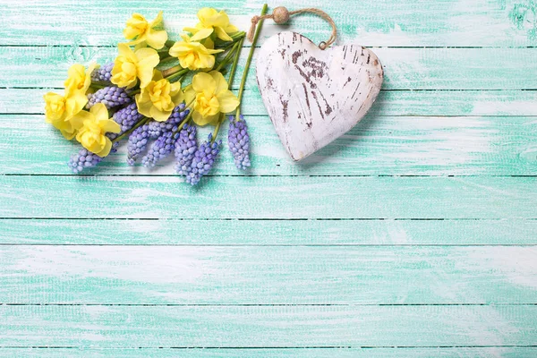 Corazón decorativo y flores frescas de primavera amarillas y azules — Foto de Stock