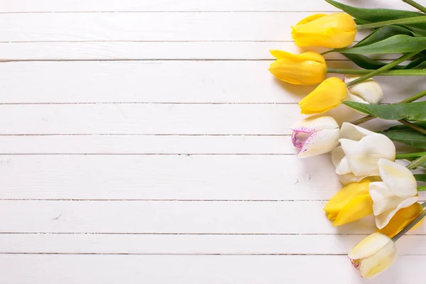 Fronteira de tulipas de primavera amarelas e brancas — Fotografia de Stock
