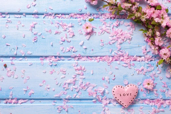 Roze sakura bloemen — Stockfoto