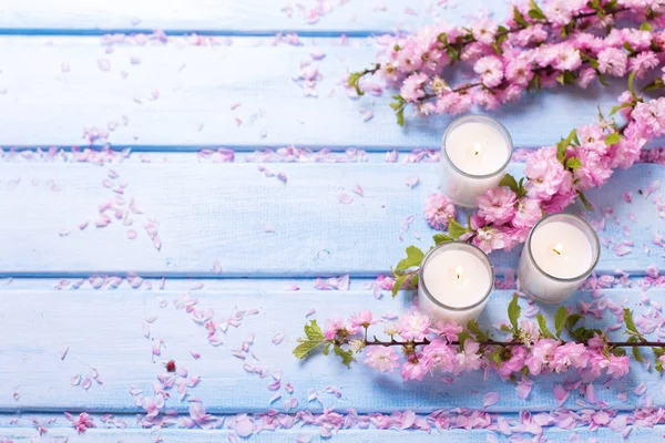 Sfondo con fiori rosa sakura — Foto Stock