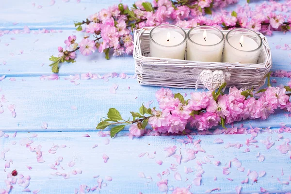 Sakura bloemen en kaarsen op blauwe houten achtergrond. — Stockfoto