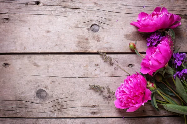 Flores de peonías rosadas — Foto de Stock