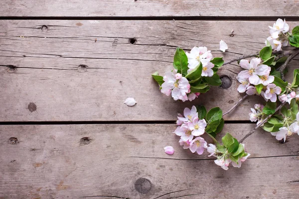 Flores de manzano de primavera sobre fondo de madera envejecida . — Foto de Stock