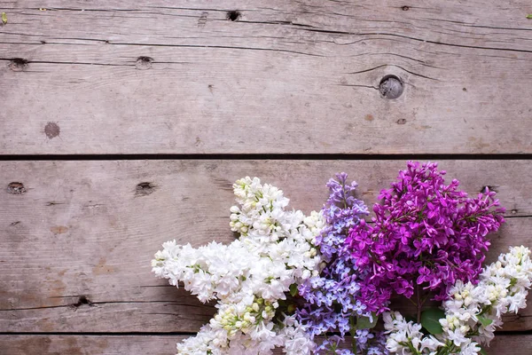 Ανοιξιάτικο φόντο. Φρέσκα αρωματικά λουλούδια λιλά — Φωτογραφία Αρχείου