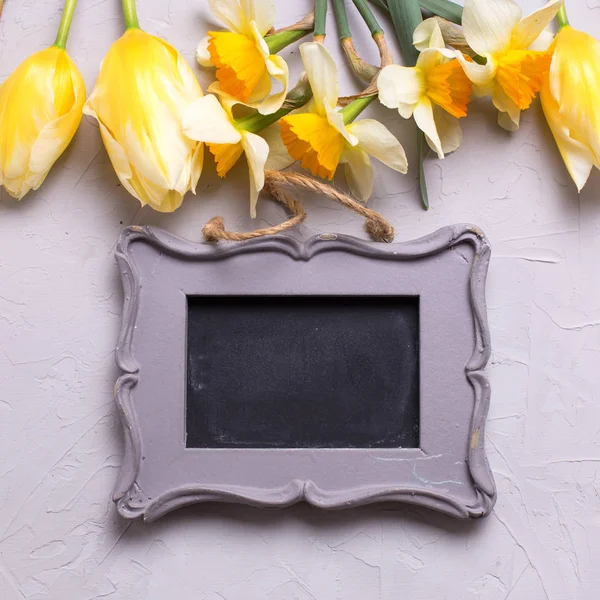 Yellow flowers  and empty frame for text — Stock Photo, Image