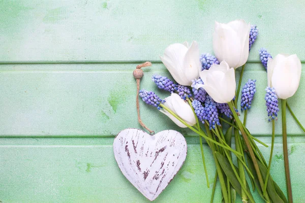 Tulipes, fleurs musculaires bleues et coeur décoratif — Photo