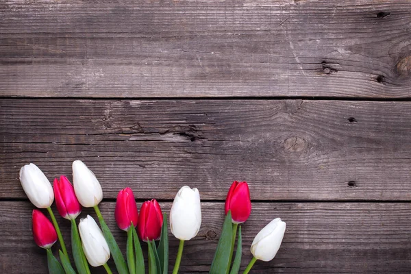 Frontera de flores de tulipanes rosados y blancos brillantes —  Fotos de Stock