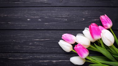 pembe ve Beyaz Lale çiçek 