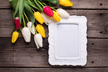 pembe ve Beyaz Lale çiçek