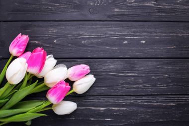 pembe ve Beyaz Lale çiçek 