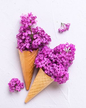 Taze leylak çiçekleri