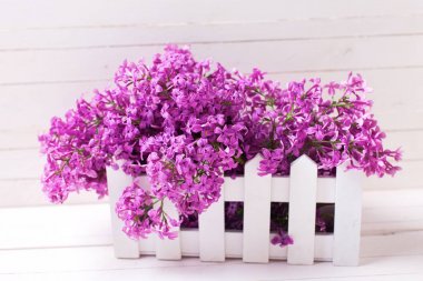 Bahar leylak çiçekleri 