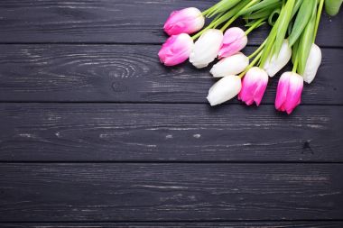 pembe ve Beyaz Lale çiçek 