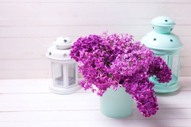 Bahar leylak çiçekleri 