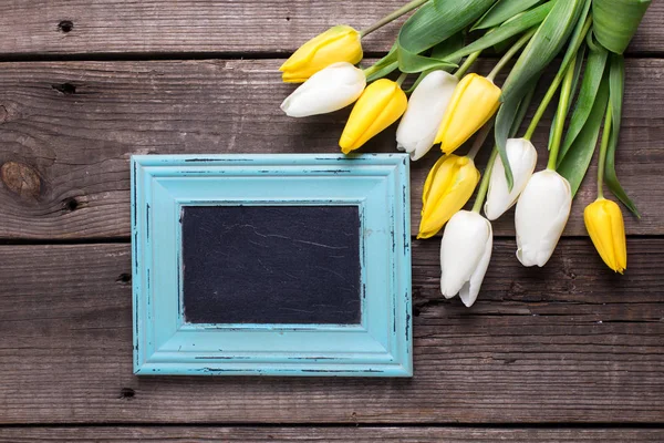 Yellow and white tulips flowers — Stock Photo, Image