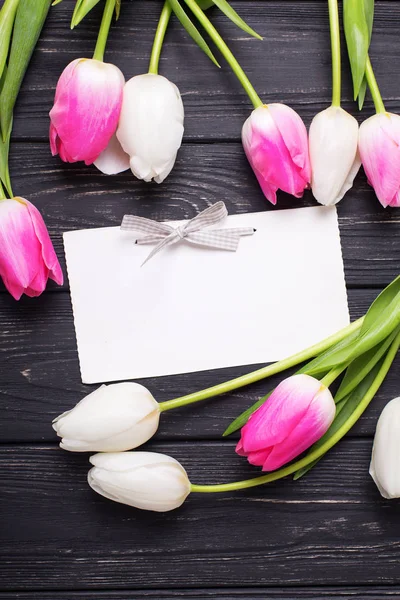 Květy růžové a bílé tulipány — Stock fotografie