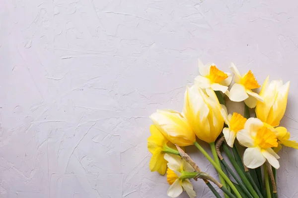 Narciso amarillo y flores de tulipanes —  Fotos de Stock