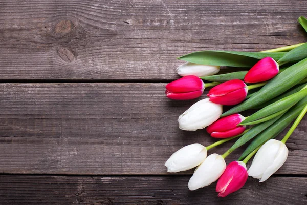 Rosa y blanco tulipanes flores — Foto de Stock