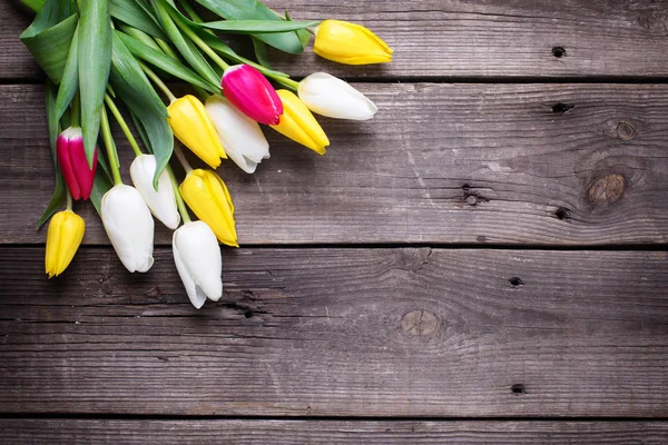 Květy růžové a bílé tulipány — Stock fotografie
