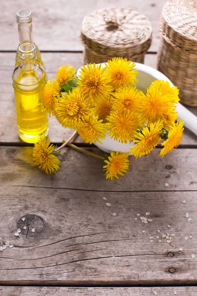 Žluté květy tussilago — Stock fotografie