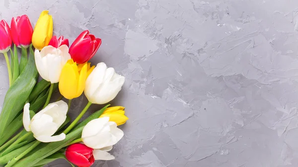 Розовые и белые цветы тюльпанов — стоковое фото