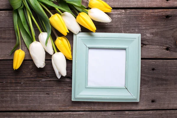 Fiori tulipani gialli e bianchi — Foto Stock