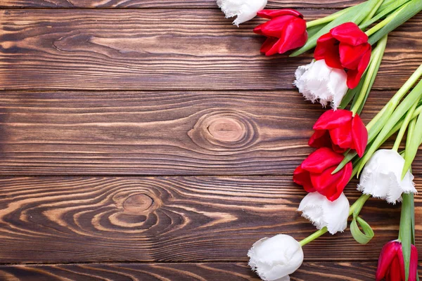 赤と白のチューリップの花 — ストック写真