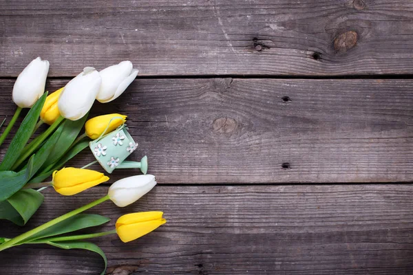 Gula och vita tulpaner blommor — Stockfoto