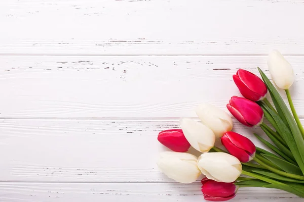 Rosa och vita tulpaner blommor — Φωτογραφία Αρχείου