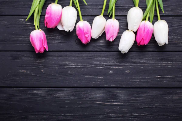 pembe ve Beyaz Lale çiçek 