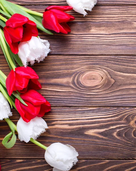 Flores de tulipas vermelhas e brancas — Fotografia de Stock