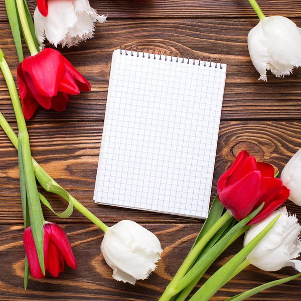 Flores de tulipas vermelhas e brancas — Fotografia de Stock