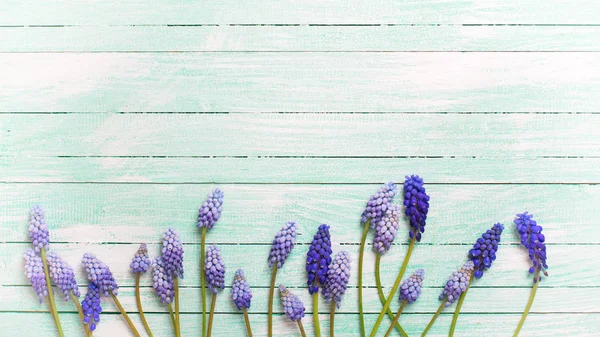 Hintergrund mit Frühlingsblumen. — Stockfoto