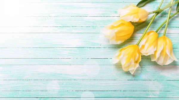 Background with spring tulips. — Stock Photo, Image