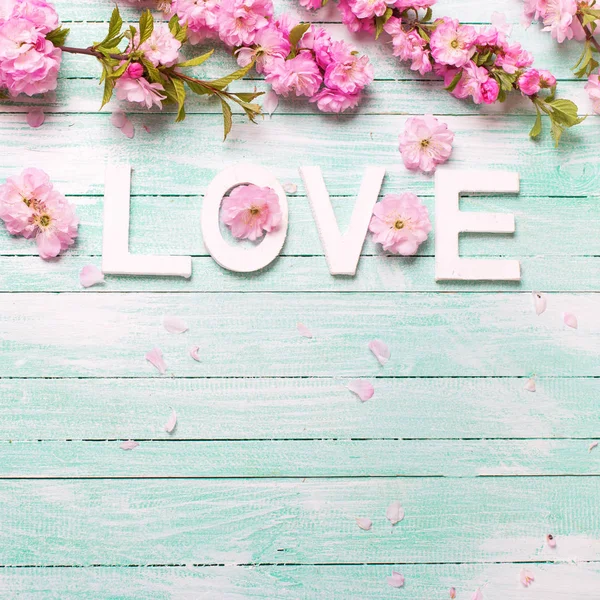Word love and  pink almond flowers
