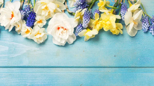 Цветные весенние тюльпаны — стоковое фото
