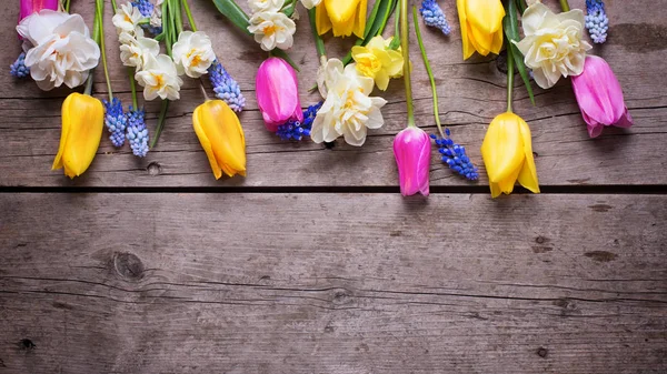 Coloridos tulipanes de primavera — Foto de Stock